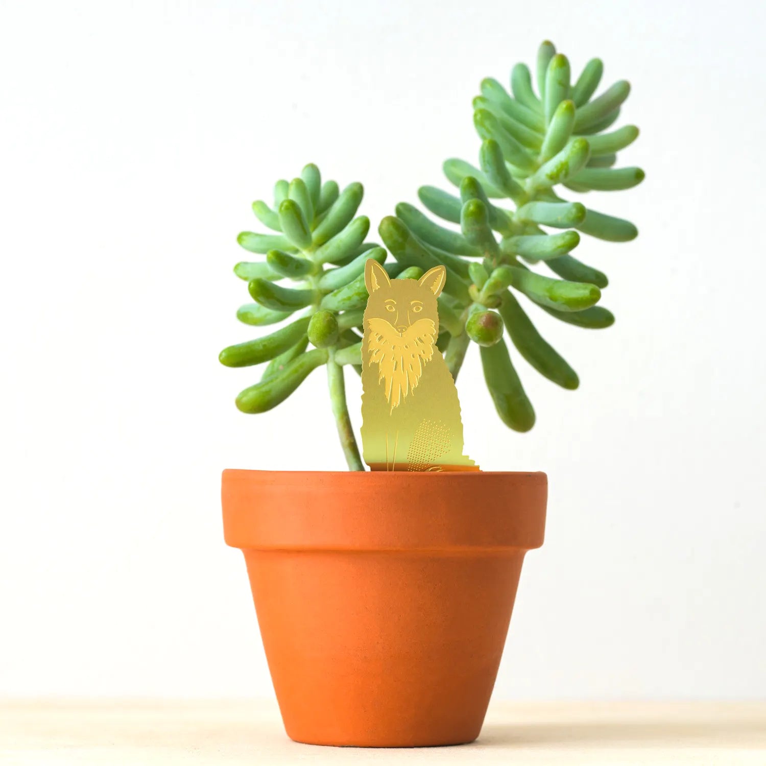 Plantbuddy Fuchs