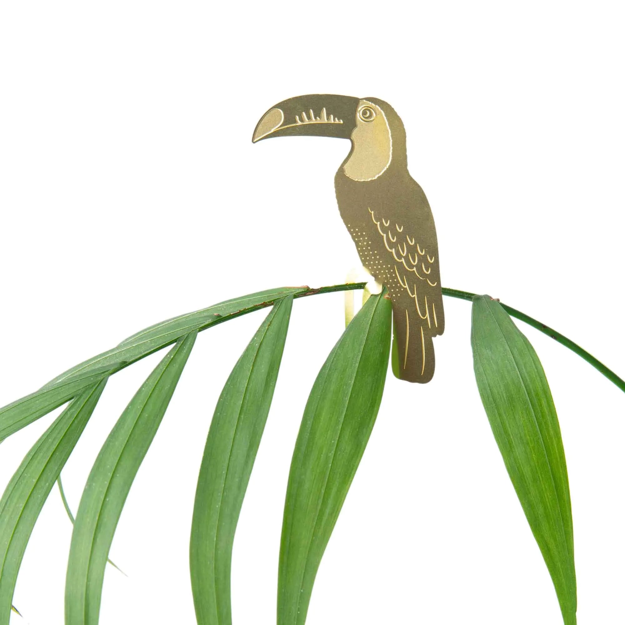 Plantbuddy Tucan