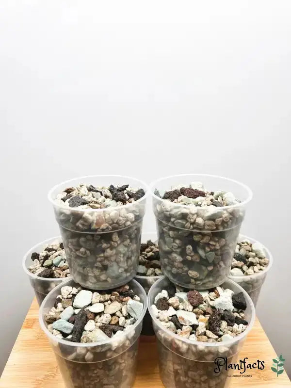 Mineralisches Substrat grob - Plantfacts