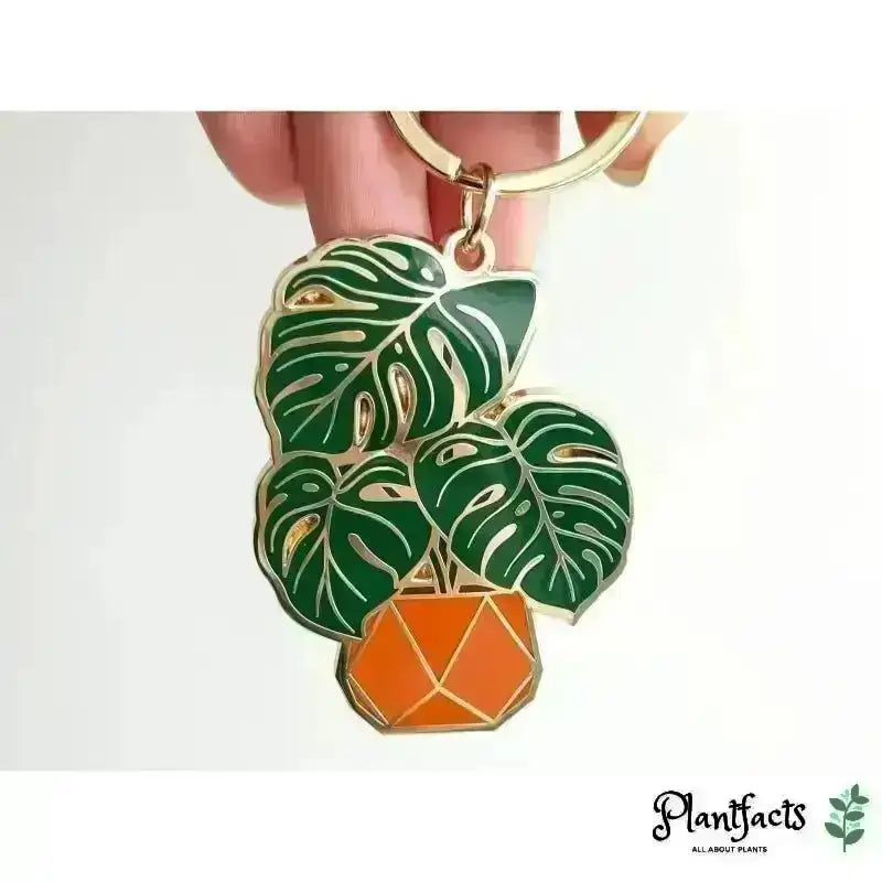 Monstera Plant Schlüsselanhänger - Plantfacts