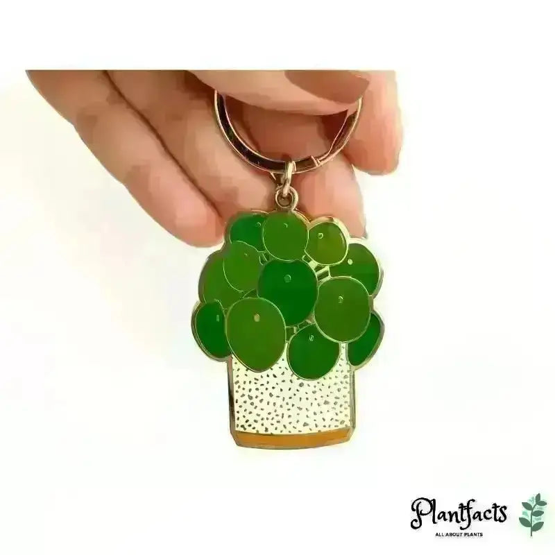 Pilea Plant Schlüsselanhänger - Plantfacts