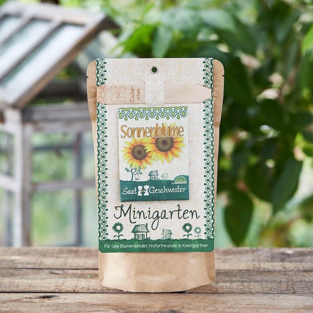 Minigarten / Saatgut - Sonnenblume