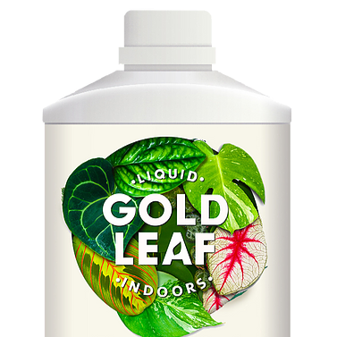 Der beste Dünger für Zimmerpflanzen Gold Leaf Liquid Indoor