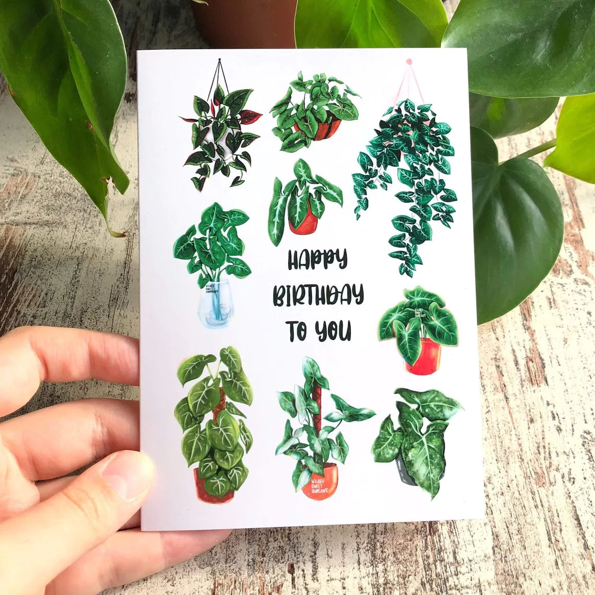 Happy Birthday Karte - Syngonium Lover - Mit Umschlag