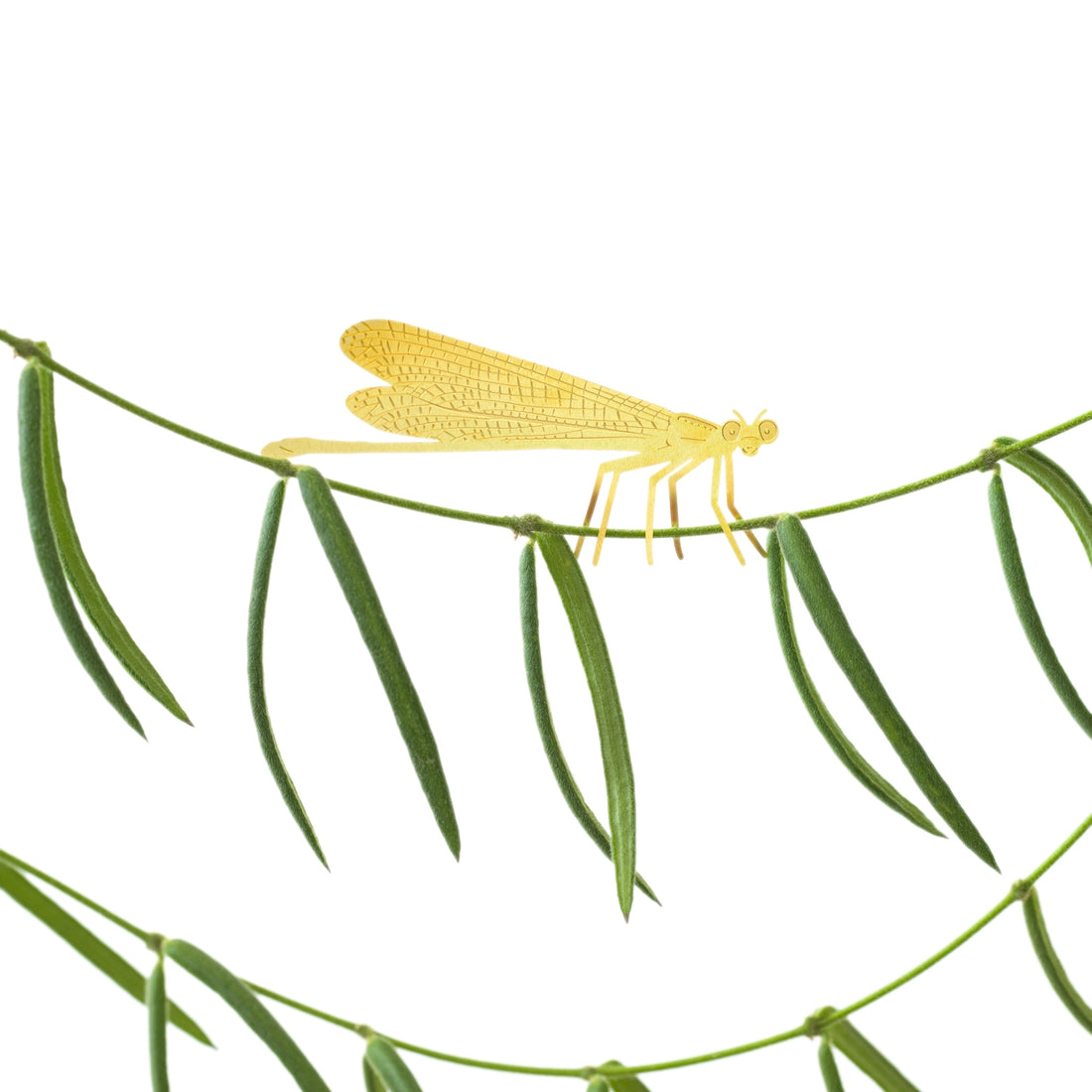 Plantbuddy Libelle