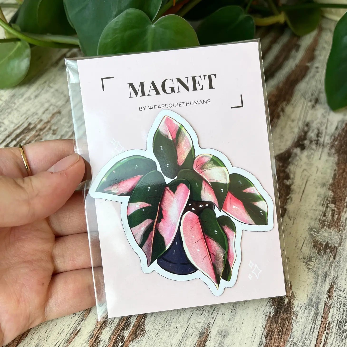 Magnet - Philodendron Prink Princess