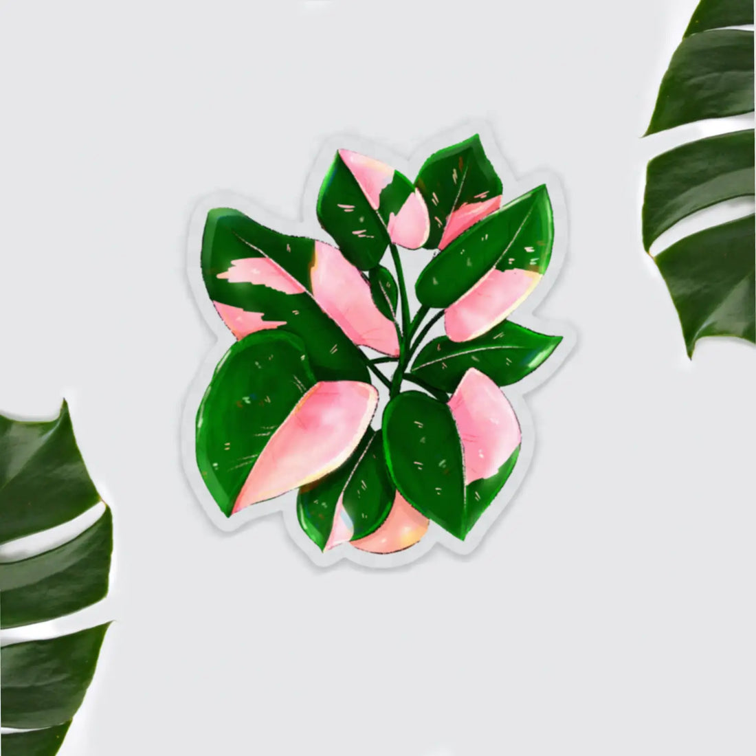 Magnet - Philodendron Pink Princess Topf