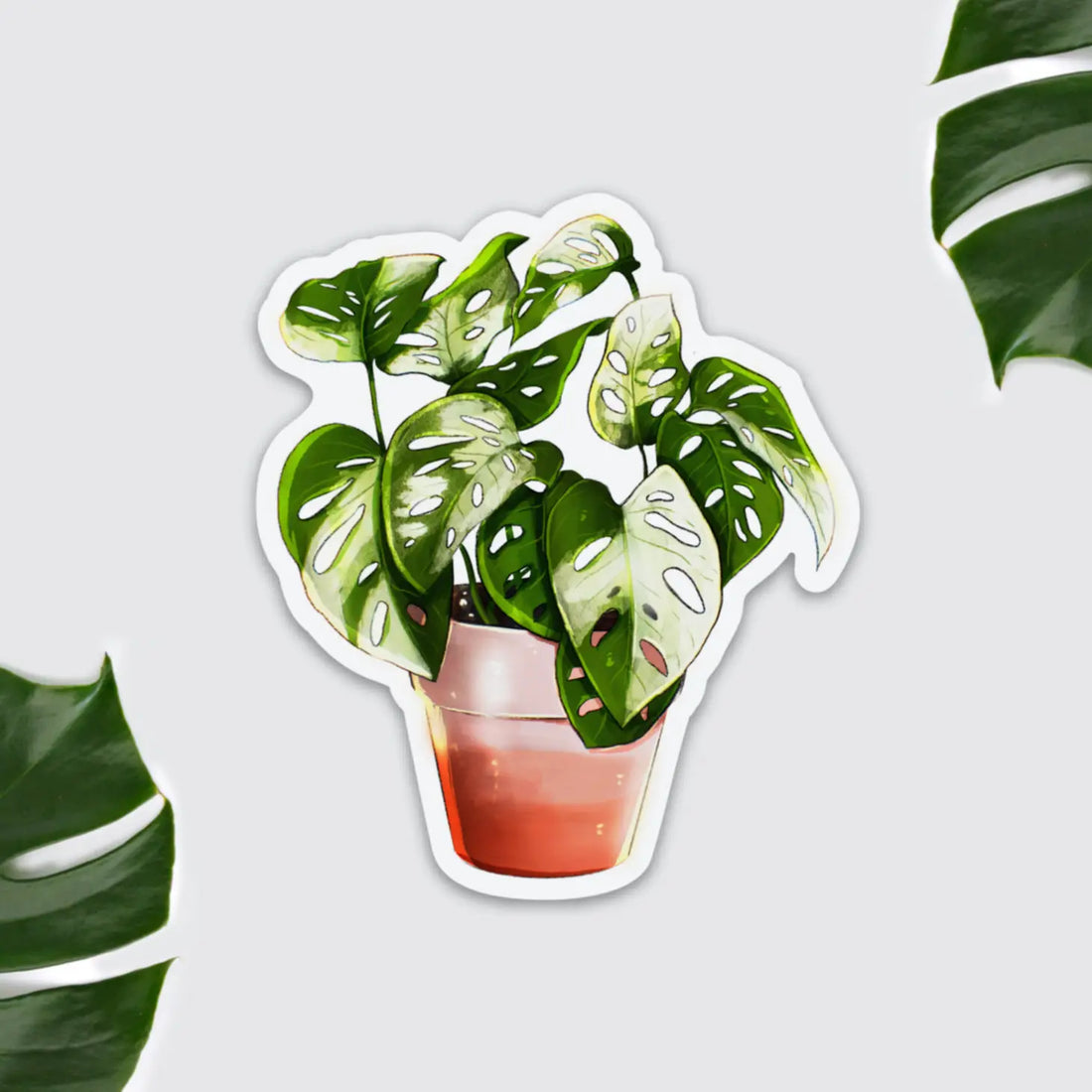 Monstera Adansonii variegata Magnet
