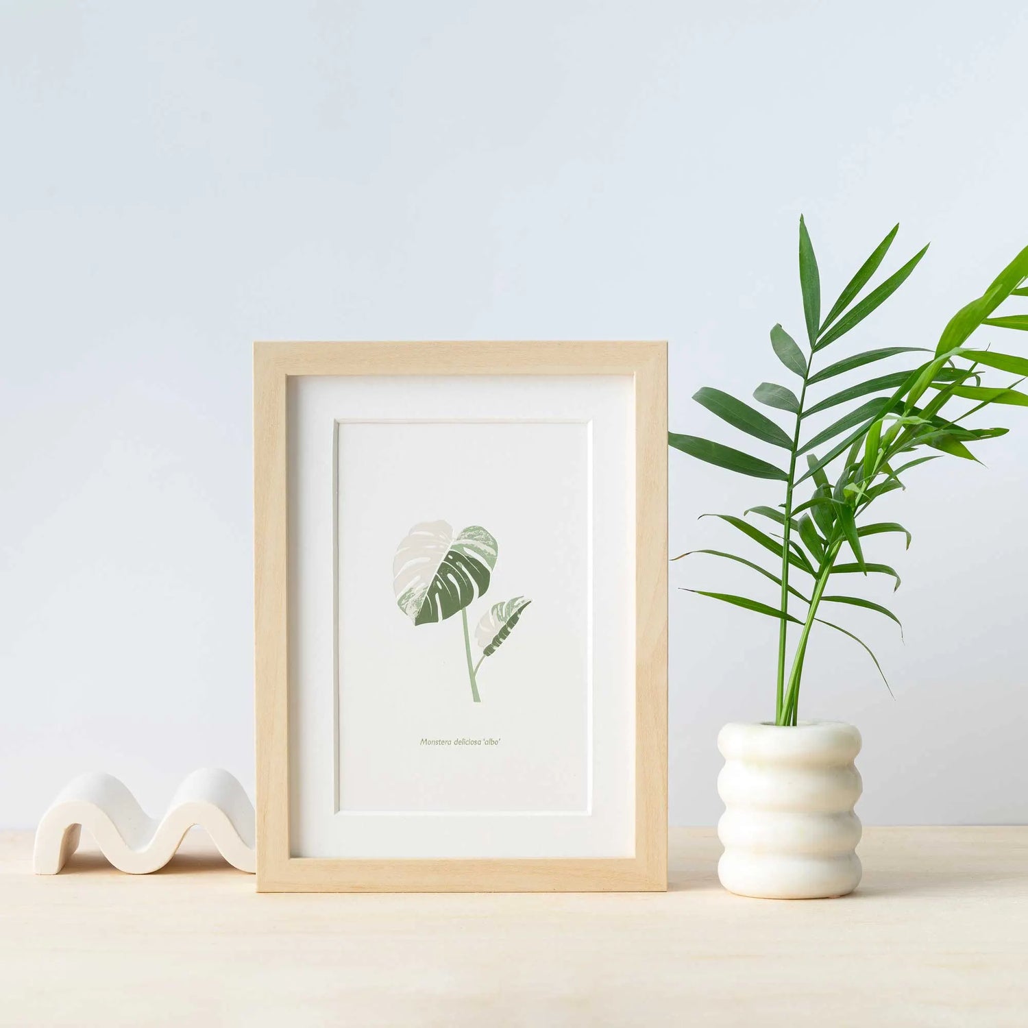 Monstera Albo Kunstdruck