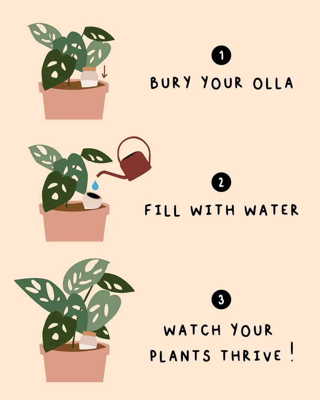 Olla Pepin
