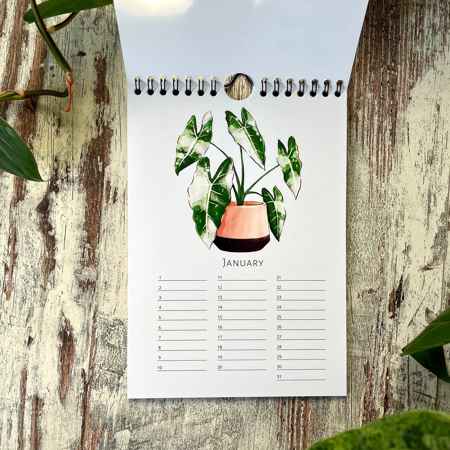 Ewiger Pflanzenkalender