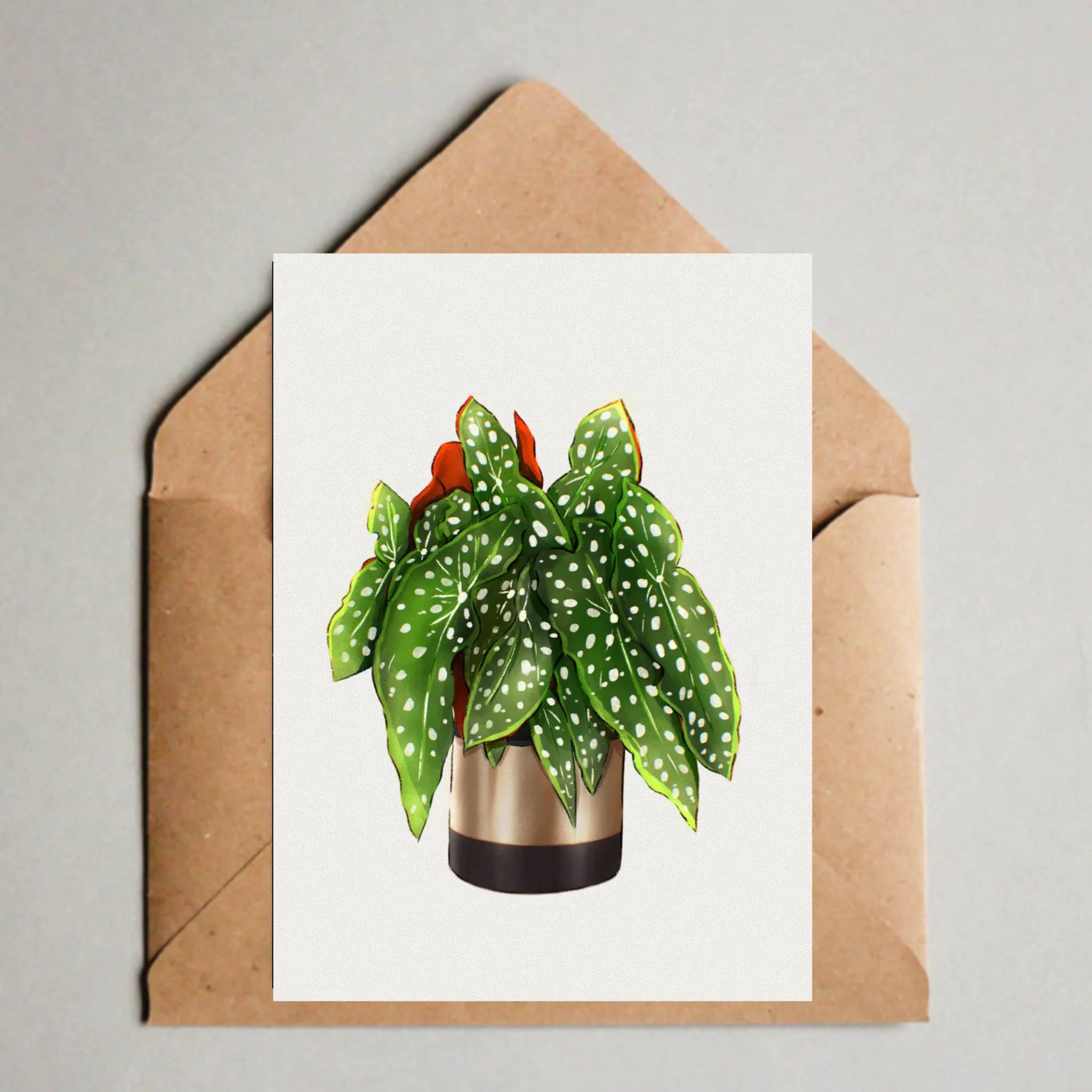 Postkarte - Begonia Maculata
