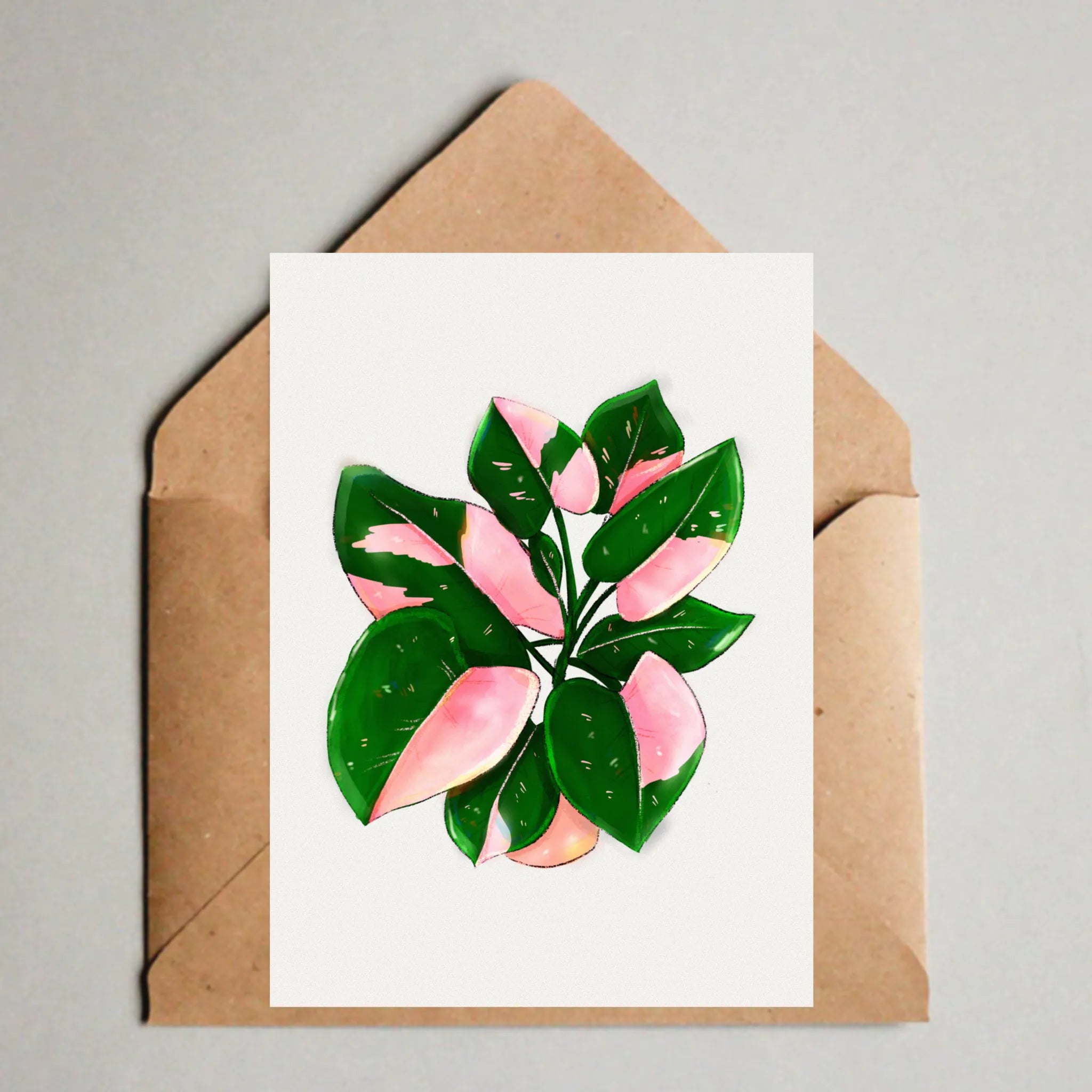 Postkarte - Philodendron Pink Princess