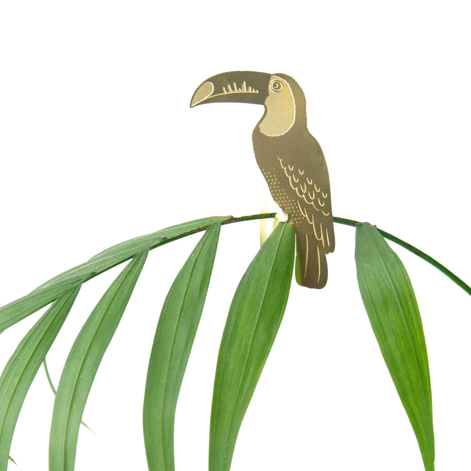 Plantbuddy Tucan