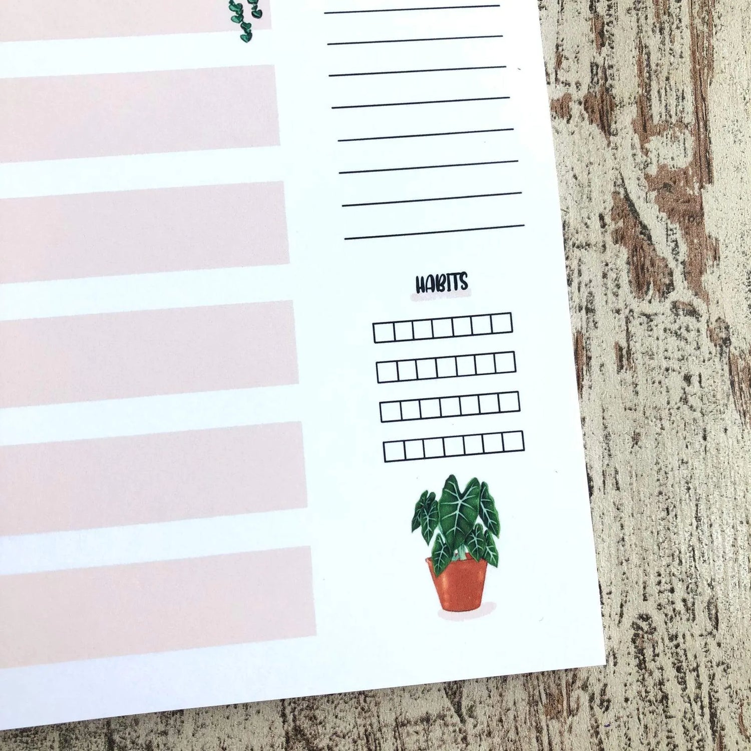 Wochenplaner Alocasia Frydek A5