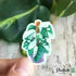Sticker - Monstera adansonii variegata - Plantfacts