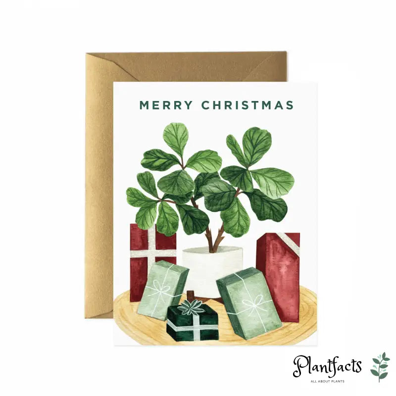 Weihnachtskarte Pflanzen - Plantfacts